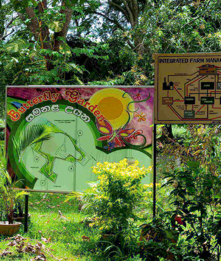 John Keells Foundation