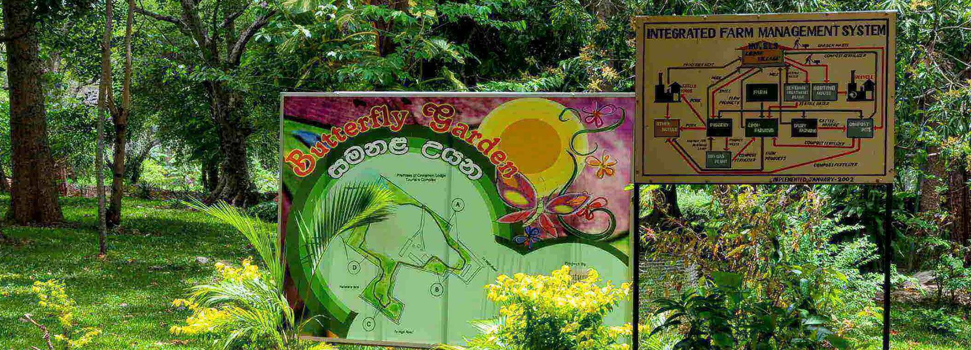 John Keells Foundation